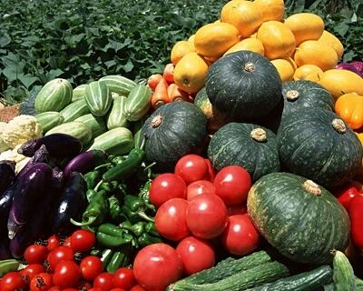 如何预防食品被新冠病毒污染？国家卫健委解答来了