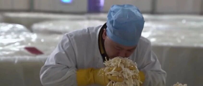 闻一闻，年赚50万元！这工作真“香”