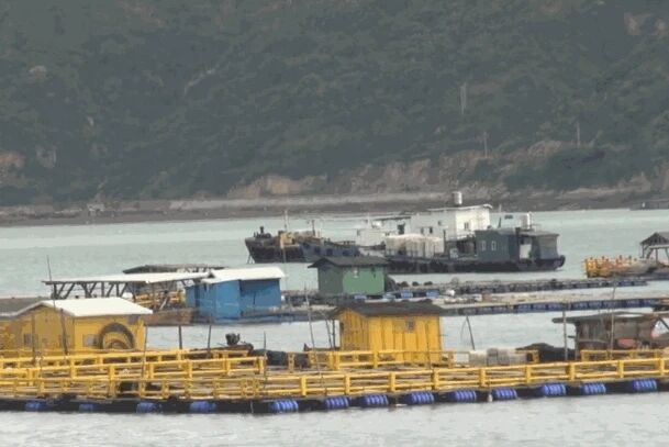 直击防抗台风“黑格比”：渔船回港 渔排人员转移