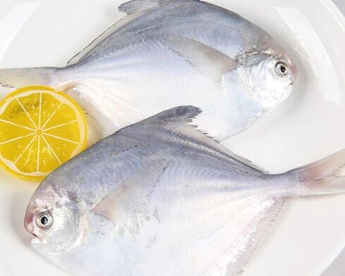 厄瓜多尔冷冻鲳鱼内包装检出新冠病毒阳性，海关总署采取紧急措施