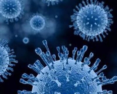 法国参议院出现群体性感染 多名议员确诊感染新冠肺炎