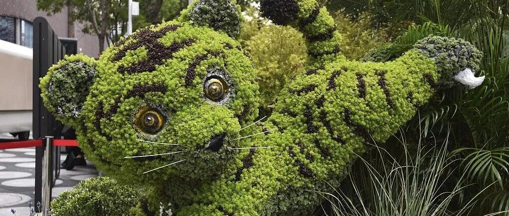 这篇推送，“虎”！