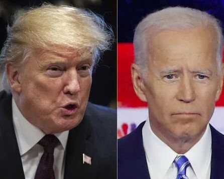 《华尔街日报》社论：摔跤手都比特朗普或拜登听上去更像总统