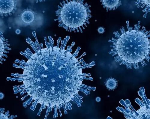 美媒：研究称新冠肺炎或变成季节性疾病