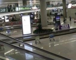 17日荷兰航空KL702次航班取消 近百中国乘客受影响