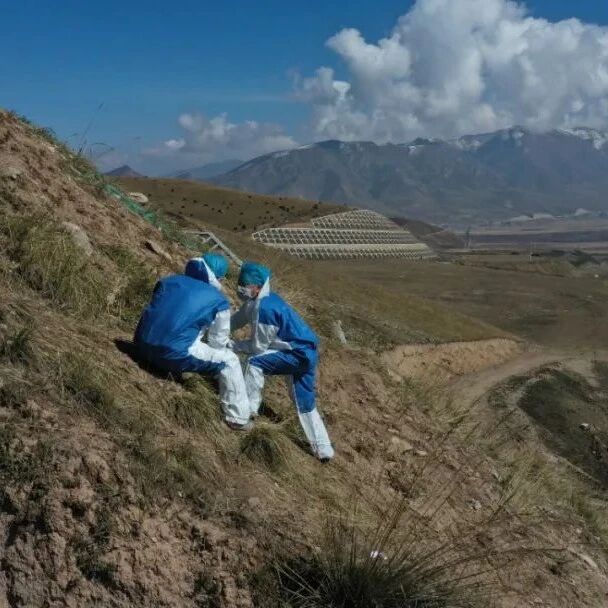 黑帮杀人埋尸17年，​民警在厨房暗洞完成最后的抓捕