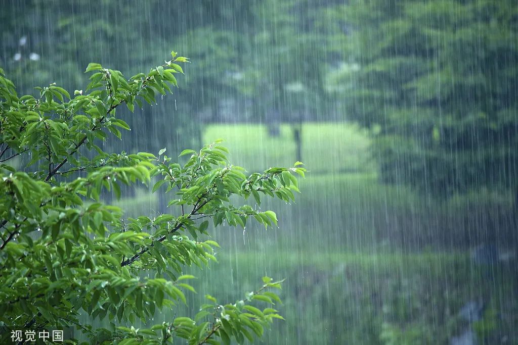 雨水的图片景色大图图片