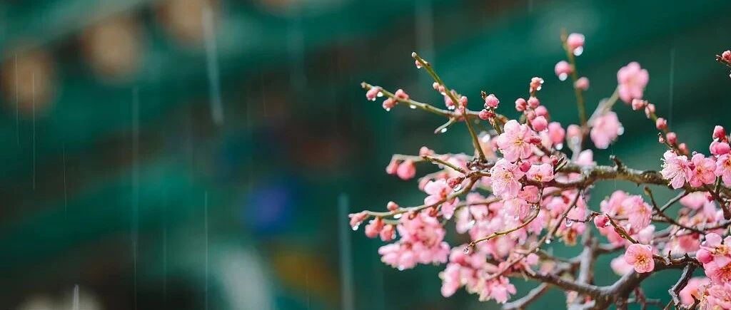 今日雨水！一切，都是最好的安排
