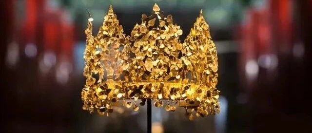 来自阿富汗的它们，曾在中国“避难”3年！网友：太不容易……