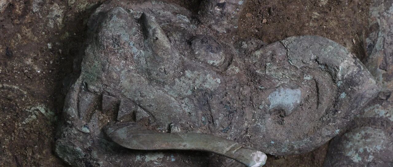 前所未见！三星堆，有新发现！