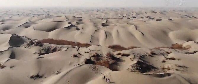 “我常常在想，沙漠外的世界是什么样子？”