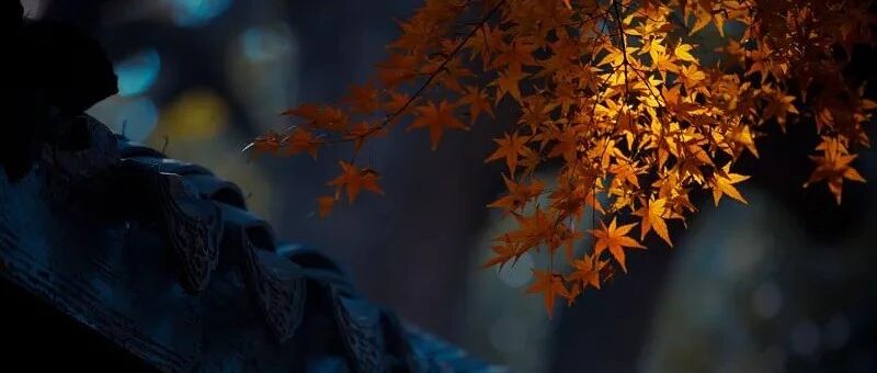 就 | 在 | 今 | 天 ，平 | 分 | 秋 | 色 ！