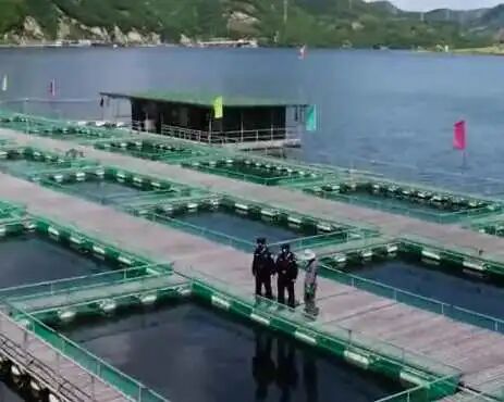 从住着破旧瓦房到户户建新房，从致富无路到“富得流油”…… 他用15年倾心帮村民打造现代“桃花源”