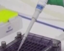 缺钱生产和分发新冠疫苗？ 美卫生官员称仍需55亿到60亿元美金