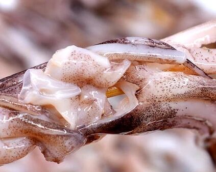 长春通报进口鱿鱼须外包装样本阳性：珲春某公司从俄罗斯进口