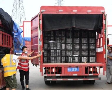 汇总 | 北京发布会带来好消息，新发地市场将正式复市