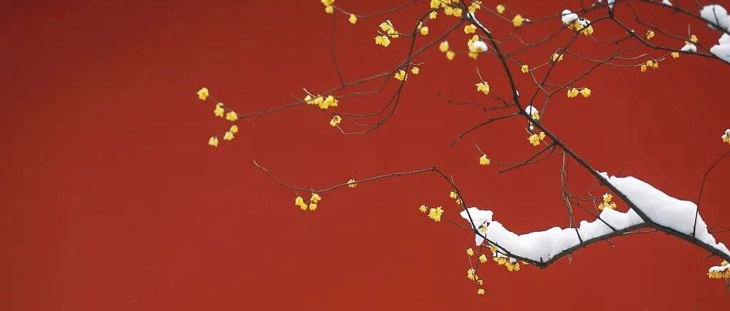 今日大寒！霜雪染尽，静候春归！