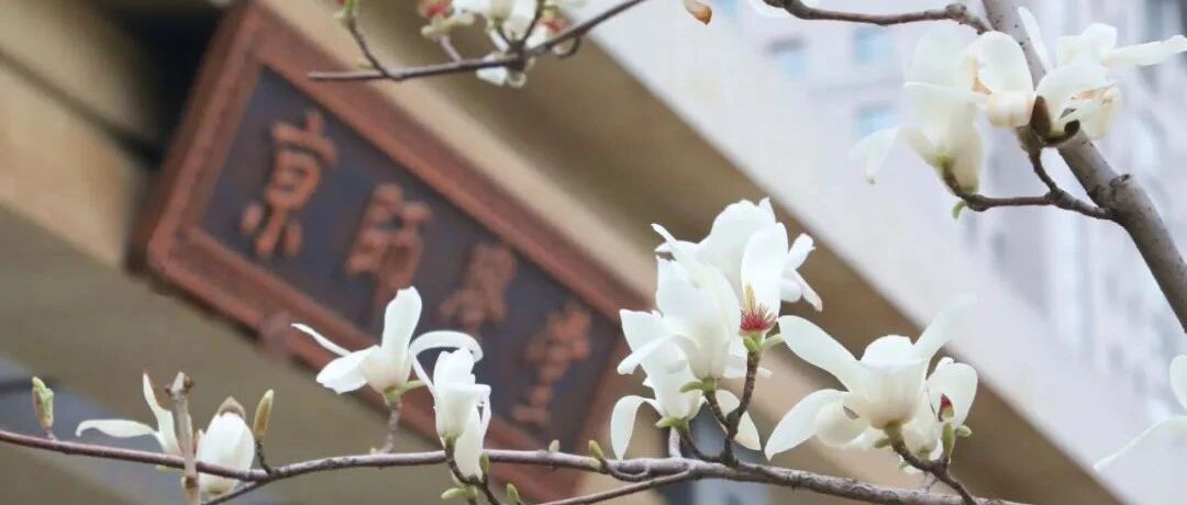 北京师范大学，生日快乐！