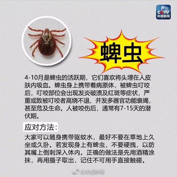 中国大叔被小虫子咬了口，高烧一周不退险些丧命！医生：这种病毒有人传人的风险（组图） - 6