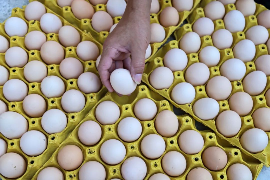 每天吃一个鸡蛋，身体会发生什么变化？