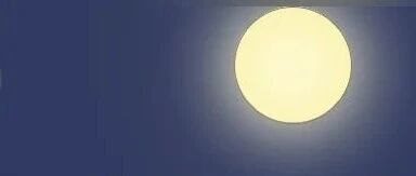 不说了，我摊牌了!