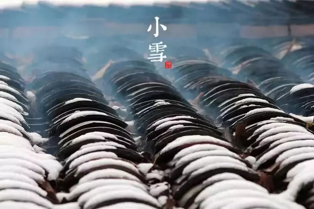 今日小雪！煮壶黑茶，愿与你共白头......