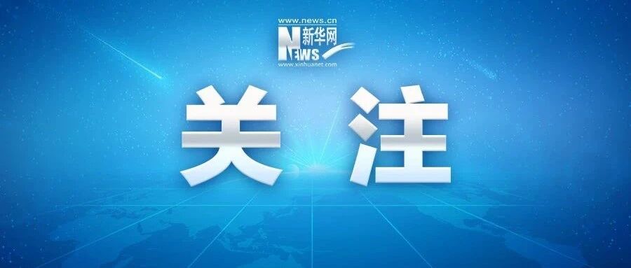 这些造假，触目惊心！