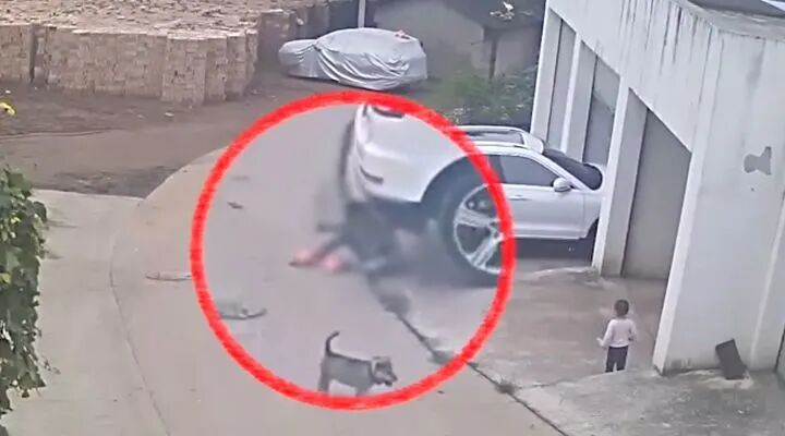 痛心！司机倒车出库未留意观察 车后幼童被碾压身亡