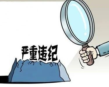 黑龙江省国资委原主任赵杰严重违纪违法被开除党籍