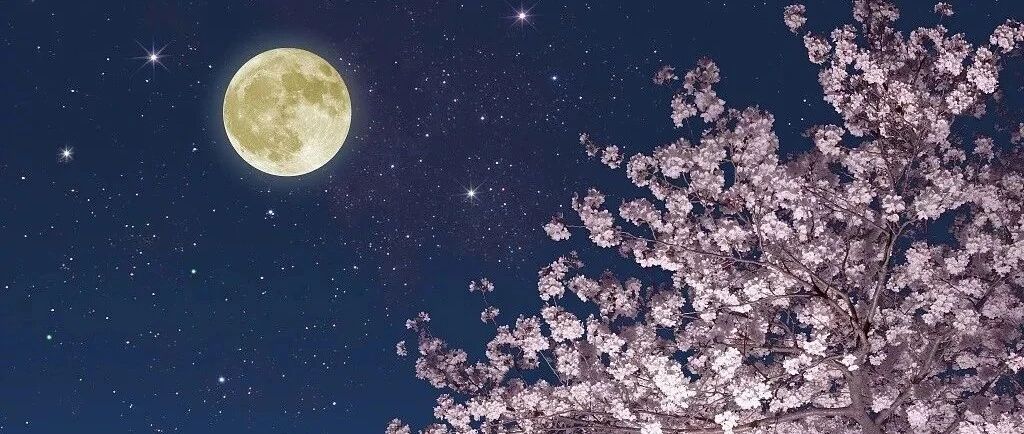 今晚，被这10句话甜到了 (◡‿◡*)