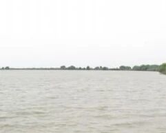 湖北洪湖将防汛应急响应提至I级，全市进入紧急防汛期