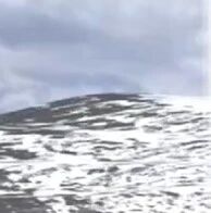 3700元，就能在辽宁承包一座岛？