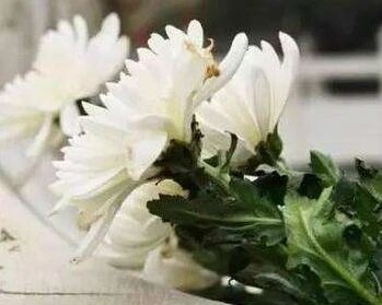 武汉通报抗疫护士夫妻看演出身亡：正调查事故原因