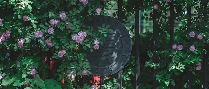 复旦大学，生日快乐!