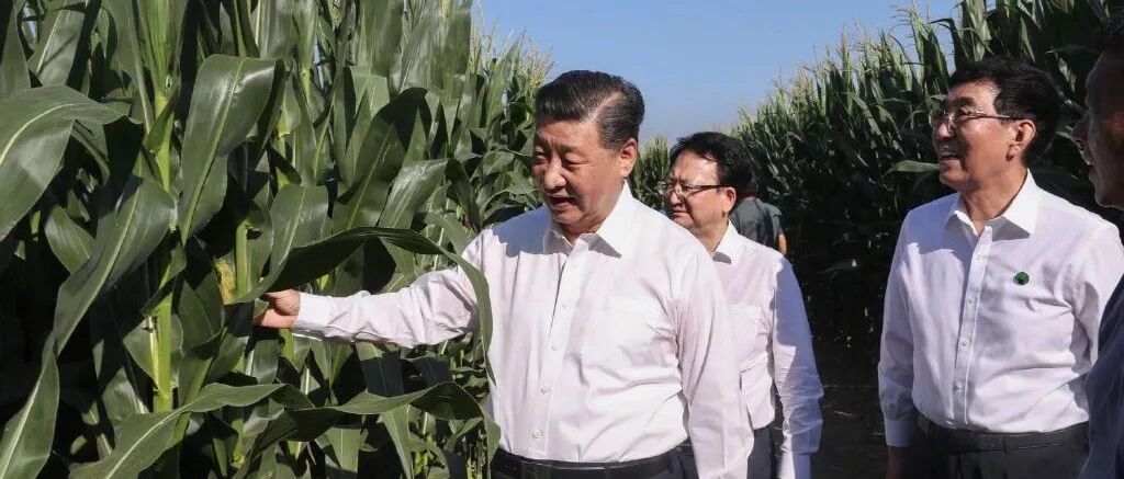 习近平：一定要采取有效措施保护好黑土地