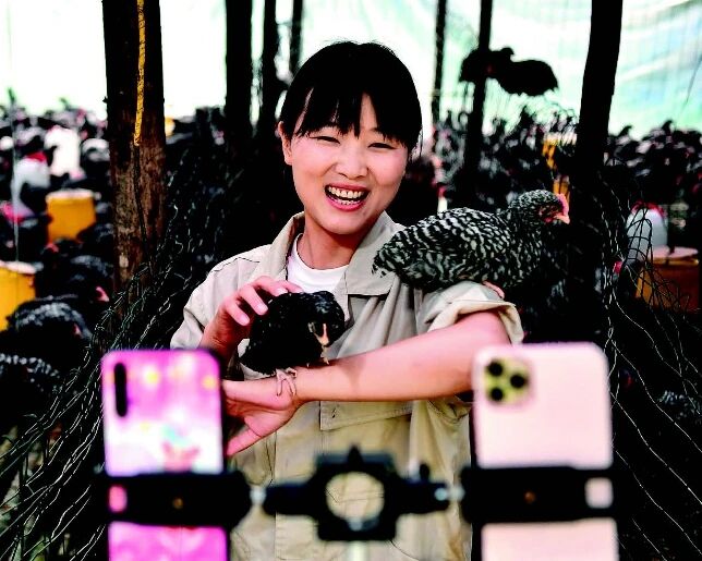 社保有门槛、工伤无保障、劳动关系难认定，灵活就业三大痛点怎么破