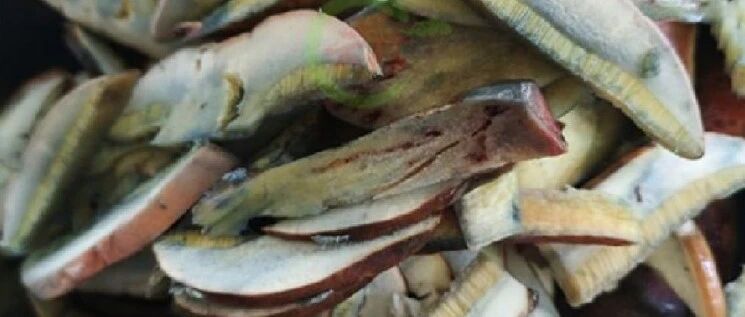 为“看小人跳舞”吃毒蘑菇？别拿生命开玩笑！