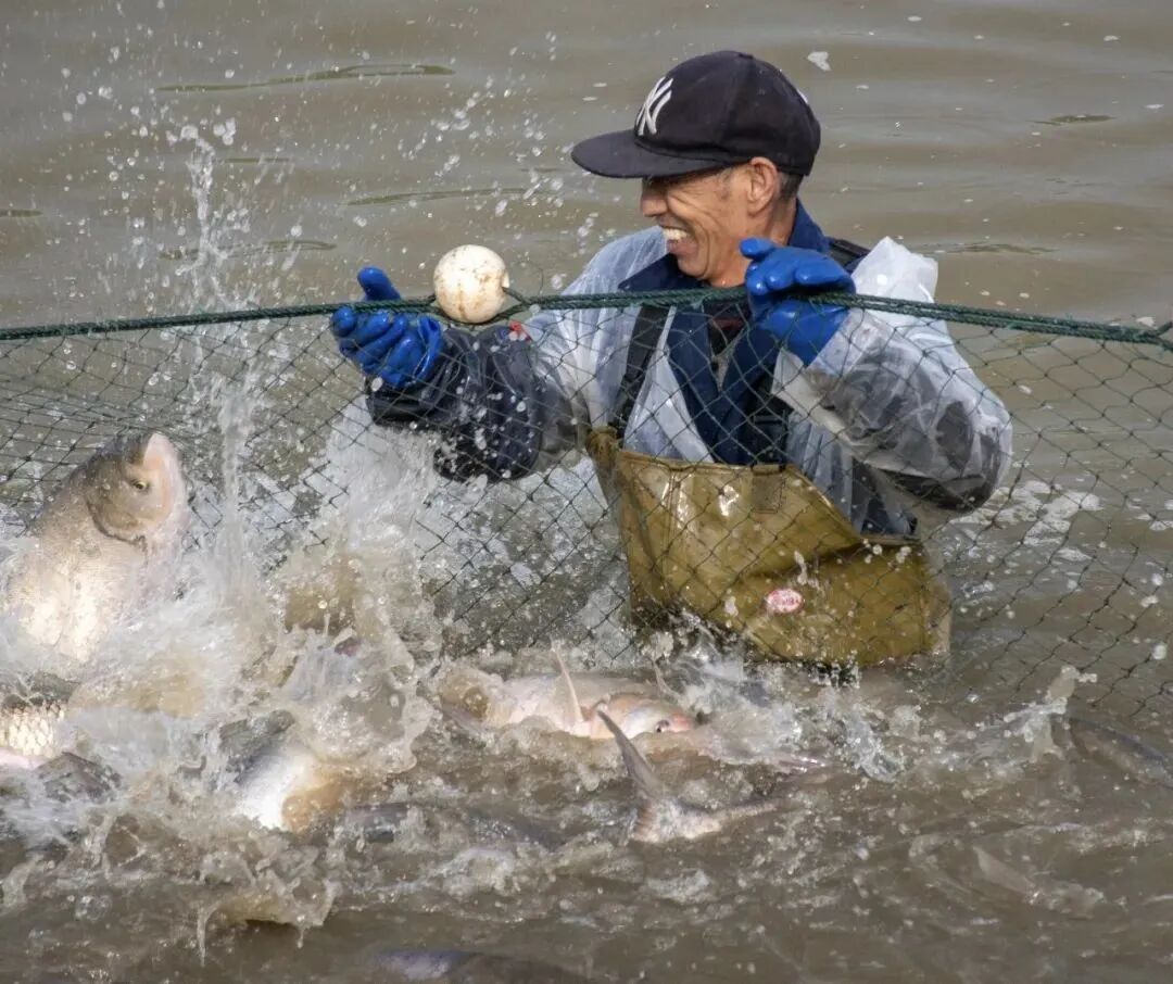 啥条件啊，30000多份？网友：吃不吃的不重要，主要想去摸鱼