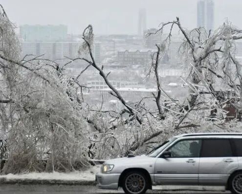 俄符拉迪沃斯托克遇暴风雪15万人断电 完全恢复或需3天