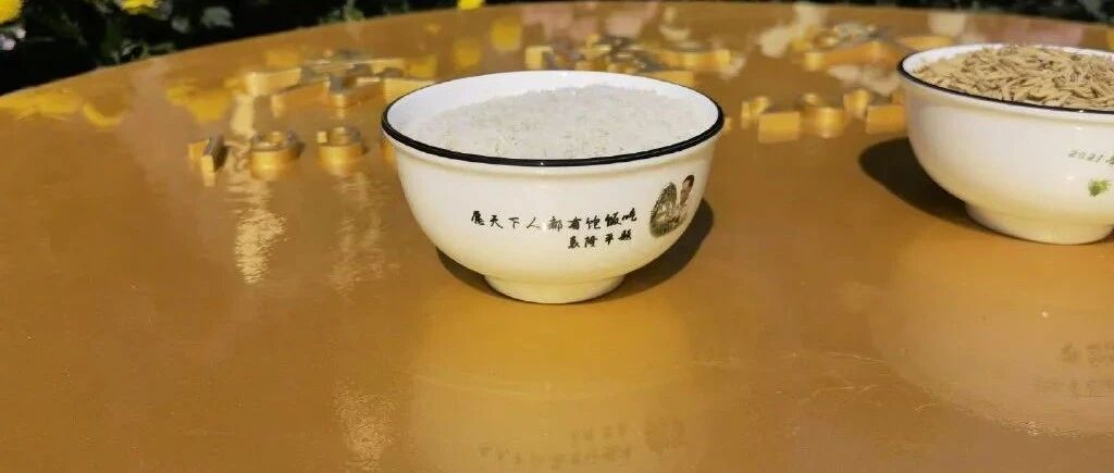 今天，我们再送袁爷爷一程！