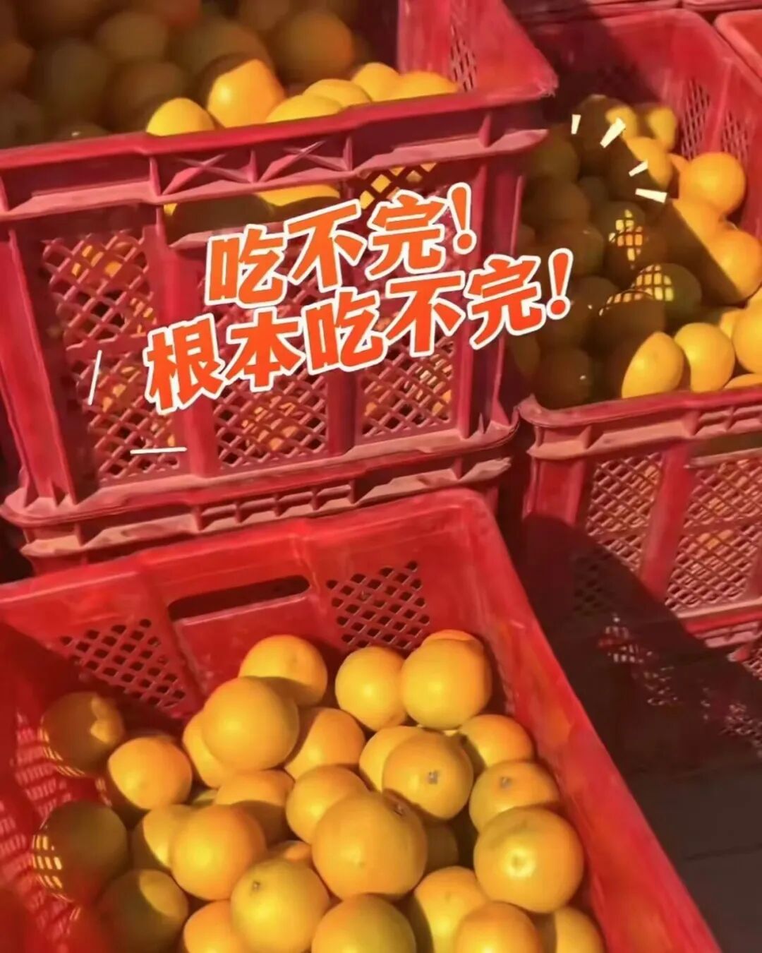 吃不完，根本吃不完！云南一高校给全体师生发褚橙，网友：俺也想要