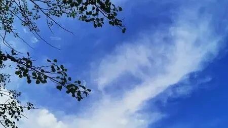 北京发布大风蓝色预警：明日阵风7级!