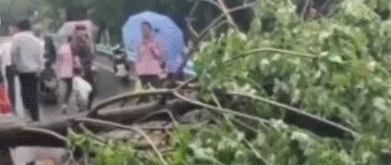 返程必看!暴雨、沙尘暴、强对流!这些地方要注意→