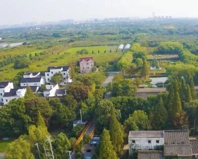 聚焦网络扶贫：乡村数字化治理成扶贫“好帮手”