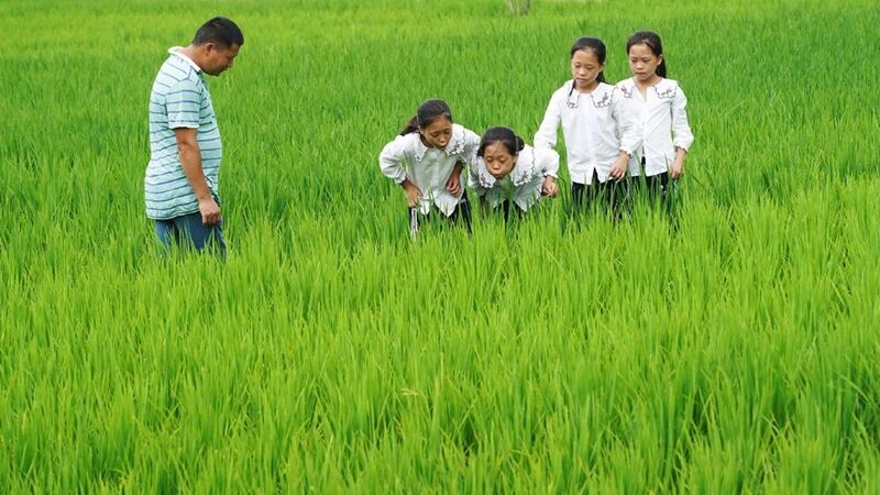 还记得分不清谁是谁的江西四胞胎姐妹吗？她们家脱贫了！