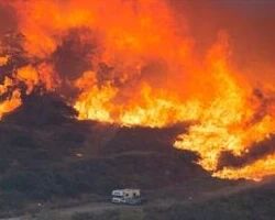 特朗普威胁要切断联邦灭火资金后，美加州州长向澳加两国发起灭火求助