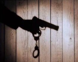 美国最“要命”的一年：三个月内同比多售出300万支枪！