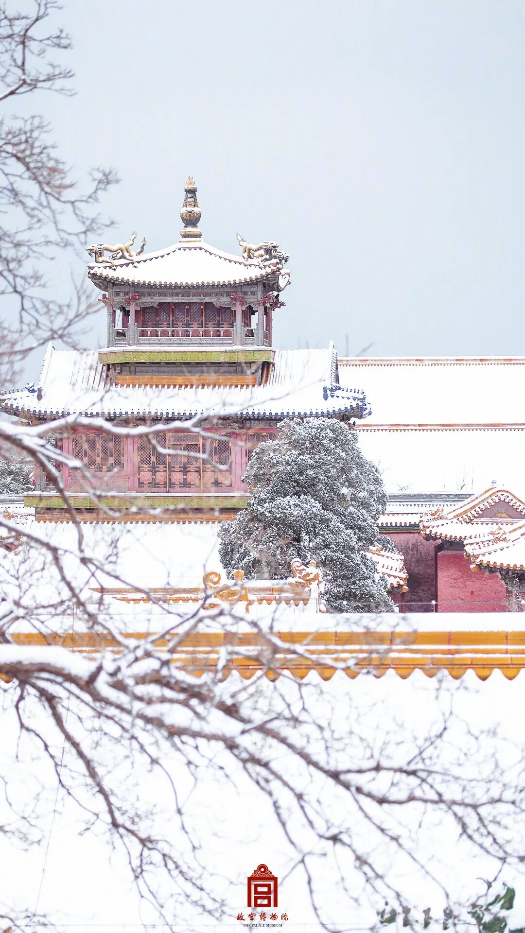 故宫雪景高清大图,来了