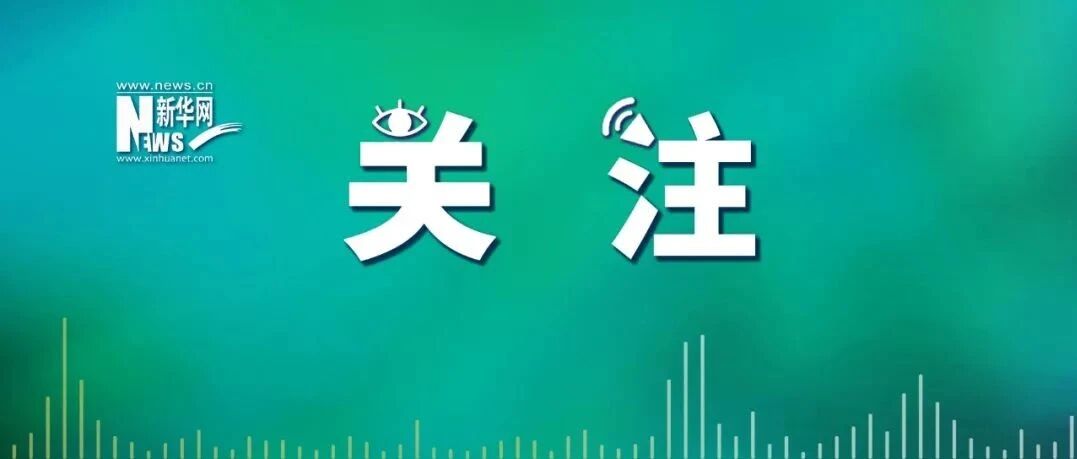 马金瑜网络舆情调查通报来了！