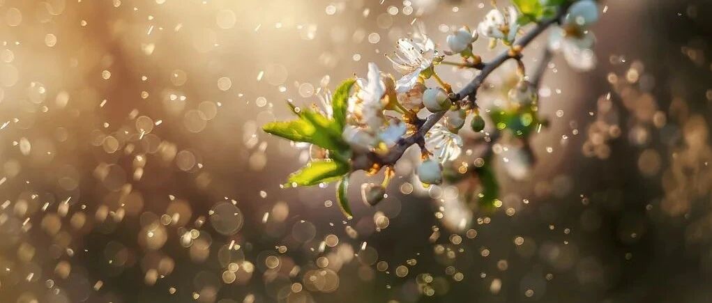 今日雨水！开工大吉！